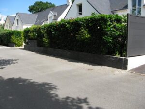 POSE DE PAREMENT PIERRE SUR MURET